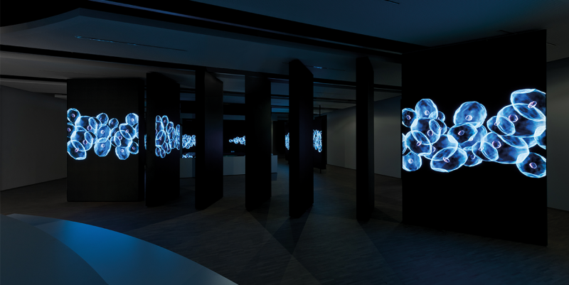 Studio Bachmannkern GmbH | Sarstedt Competence Center | Nümbrecht