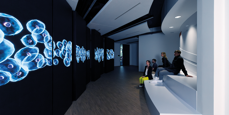 Studio Bachmannkern GmbH | Sarstedt Competence Center | Nümbrecht